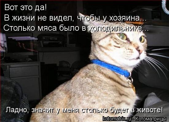 Вот это да! В жизни не видел, чтобы у хозяина... Столько мяса было в холодильнике... Ладно, значит у ... Котоматрица: Вот это да! В жизни не видел, чтобы у хозяина... Столько мяса было в холодильнике... Ладно, значит у меня столько будет в животе!