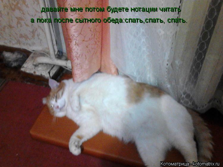 давайте мне потом будете нотации читать а пока после сытного обеда:спать,спать, спать.... Котоматрица: давайте мне потом будете нотации читать а пока после сытного обеда:спать,спать, спать.