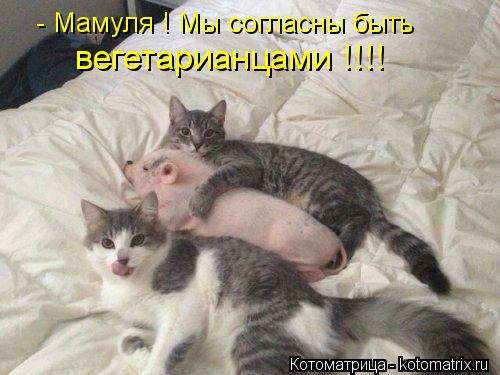 - Мамуля ! Мы согласны быть вегетарианцами !!!!... Котоматрица: - Мамуля ! Мы согласны быть вегетарианцами !!!!