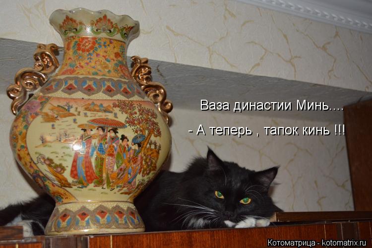 Ваза династии Минь.... - А теперь , тапок кинь !!!... Котоматрица: Ваза династии Минь.... - А теперь , тапок кинь !!!