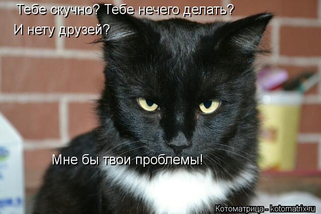 Тебе скучно? Тебе нечего делать? И нету друзей? Мне бы твои проблемы!... Котоматрица: Тебе скучно? Тебе нечего делать? И нету друзей? Мне бы твои проблемы!