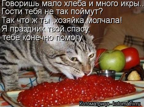 Говоришь мало хлеба и много икры.. Гости тебя не так поймут? Так что ж ты ,хозяйка,молчала! Я праздни... Котоматрица: Говоришь мало хлеба и много икры.. Гости тебя не так поймут? Так что ж ты ,хозяйка,молчала! Я праздник твой спасу, тебе конечно помогу