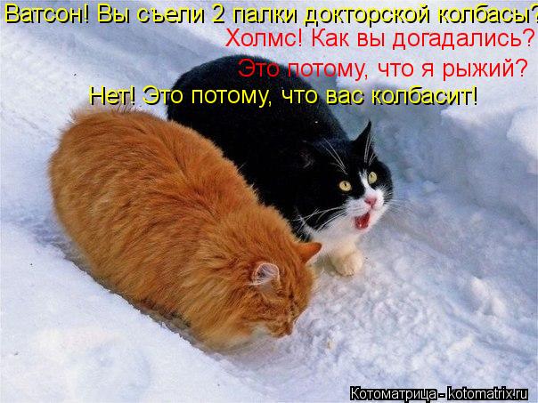 Ватсон! Вы съели 2 палки докторской колбасы?!! Холмс! Как вы догадались? Это потому, что я рыжий? Нет... Котоматрица: Ватсон! Вы съели 2 палки докторской колбасы?!! Холмс! Как вы догадались? Это потому, что я рыжий? Нет! Это потому, что вас колбасит!