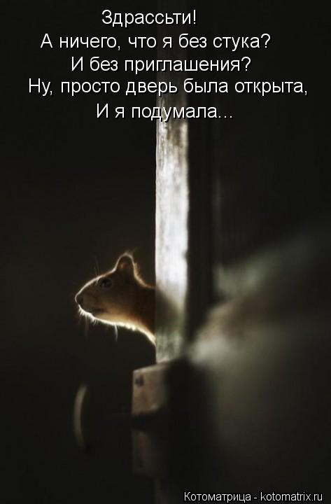 Здрассьти! А ничего, что я без стука? И без приглашения? Ну, просто дверь была открыта, И я подумала... Котоматрица: Здрассьти! А ничего, что я без стука? И без приглашения? Ну, просто дверь была открыта, И я подумала...
