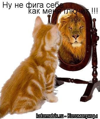 Ну не фига себе как меня глючит !!!... Котоматрица: Ну не фига себе как меня глючит !!!