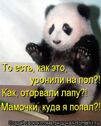 То есть, как это, уронили на пол?! Как, оторвали лапу?! Мамочки, куда я попал?!... Котоматрица: То есть, как это, уронили на пол?! Как, оторвали лапу?! Мамочки, куда я попал?!