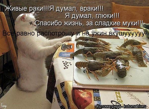 Живые раки!!!Я думал, враки!!! Я думал, глюки!!! Спасибо жизнь, за сладкие муки!!! Все-равно распотро... Котоматрица: Живые раки!!!Я думал, враки!!! Я думал, глюки!!! Спасибо жизнь, за сладкие муки!!! Все-равно распотрошу и на ужин вкушуууууу!