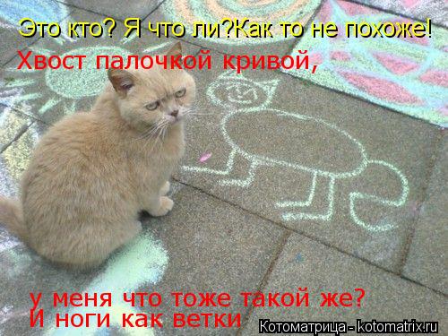 Это кто? Я что ли?Как то не похоже! у меня что тоже такой же? Хвост палочкой кривой, И ноги как ве... Котоматрица: Это кто? Я что ли?Как то не похоже! у меня что тоже такой же? Хвост палочкой кривой, И ноги как ветки