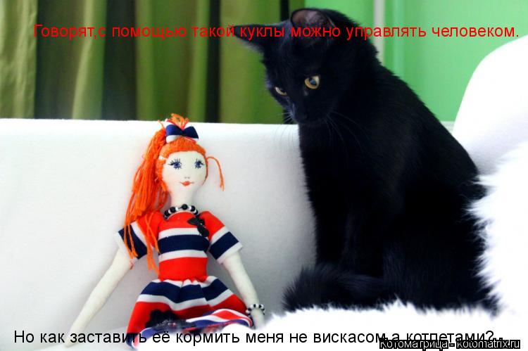 Говорят,с помощью такой куклы можно управлять человеком. Но как заставить её кормить меня не вискасом... Котоматрица: Говорят,с помощью такой куклы можно управлять человеком. Но как заставить её кормить меня не вискасом,а котлетами?