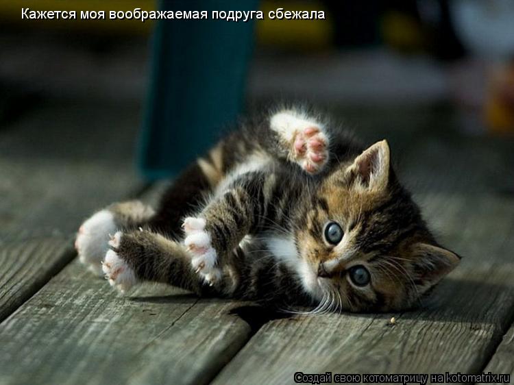 Кажется моя воображаемая подруга сбежала... Котоматрица: Кажется моя воображаемая подруга сбежала