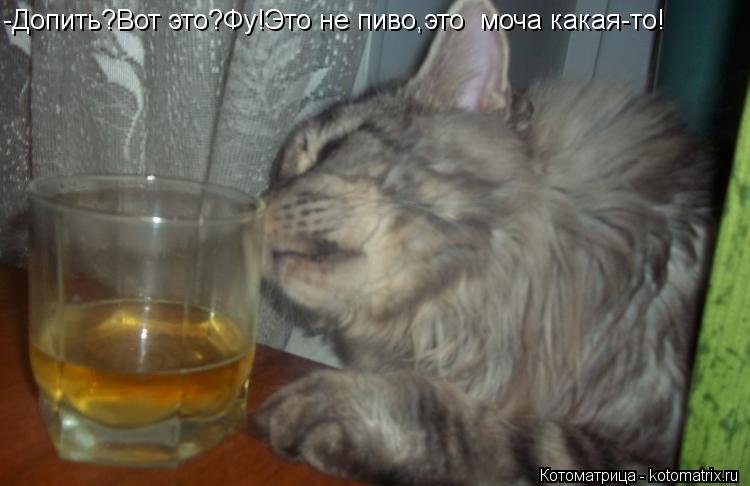 -Допить?Вот это?Фу!Это не пиво,это моча какая-то!... Котоматрица: -Допить?Вот это?Фу!Это не пиво,это моча какая-то!