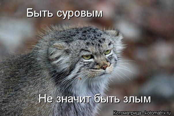 Быть суровым Не значит быть злым... Котоматрица: Быть суровым Не значит быть злым
