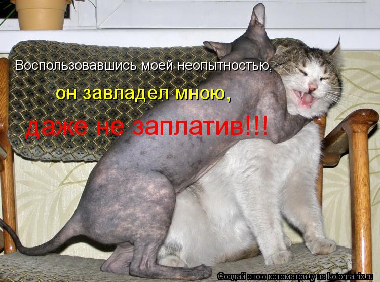 Воспользовавшись моей неопытностью, он завладел мною, даже не заплатив!!!... Котоматрица: Воспользовавшись моей неопытностью, он завладел мною, даже не заплатив!!!