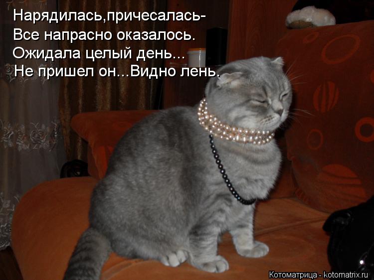 Нарядилась,причесалась- Все напрасно оказалось. Ожидала целый день... Не пришел он...Видно лень.... Котоматрица: Нарядилась,причесалась- Все напрасно оказалось. Ожидала целый день... Не пришел он...Видно лень.
