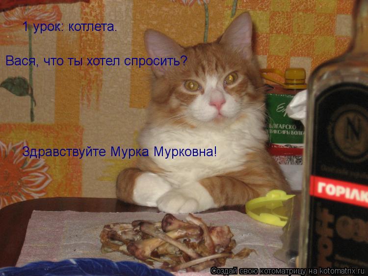 1 урок: котлета. Здравствуйте Мурка Мурковна! Вася, что ты хотел спросить?... Котоматрица: 1 урок: котлета. Здравствуйте Мурка Мурковна! Вася, что ты хотел спросить?