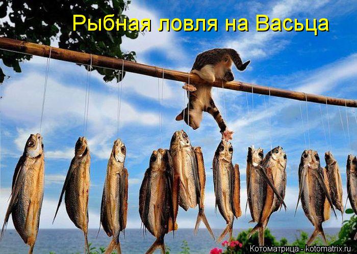 Рыбная ловля на Васьца... Котоматрица: Рыбная ловля на Васьца