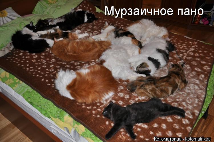Мурзаичное пано... Котоматрица: Мурзаичное пано