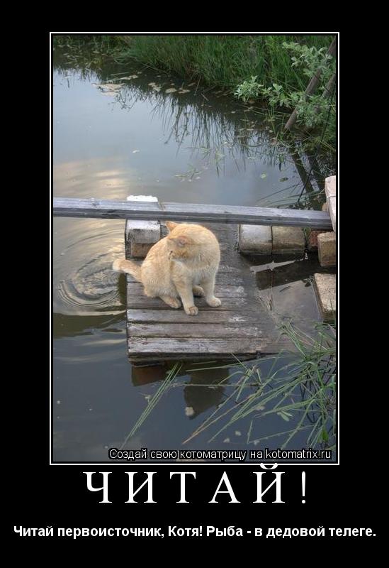 Котоматрица: ЧИТАЙ! Читай первоисточник, Котя! Рыба - в дедовой телеге.