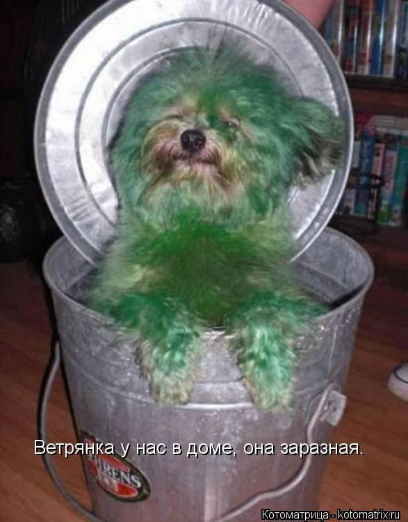 Ветрянка у нас в доме, она заразная.... Котоматрица: Ветрянка у нас в доме, она заразная.