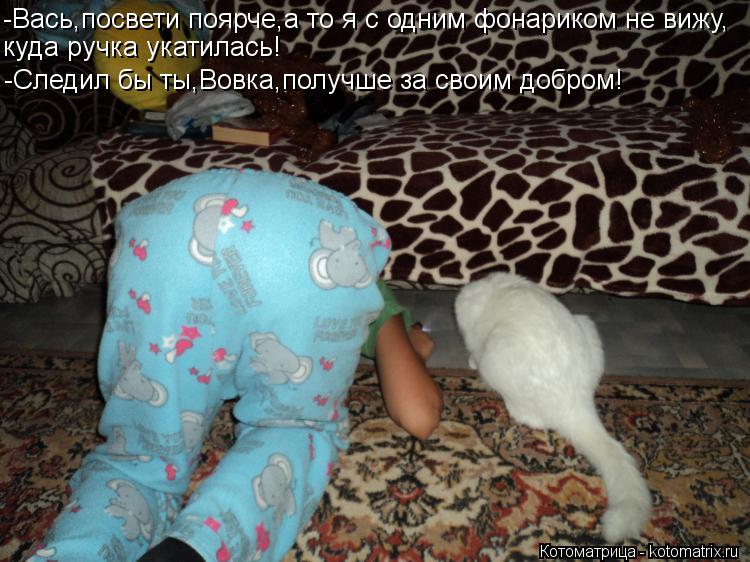 Котоматрица: -Вась,посвети поярче,а то я с одним фонариком не вижу, куда ручка укатилась! -Следил бы ты,Вовка,получше за своим добром!