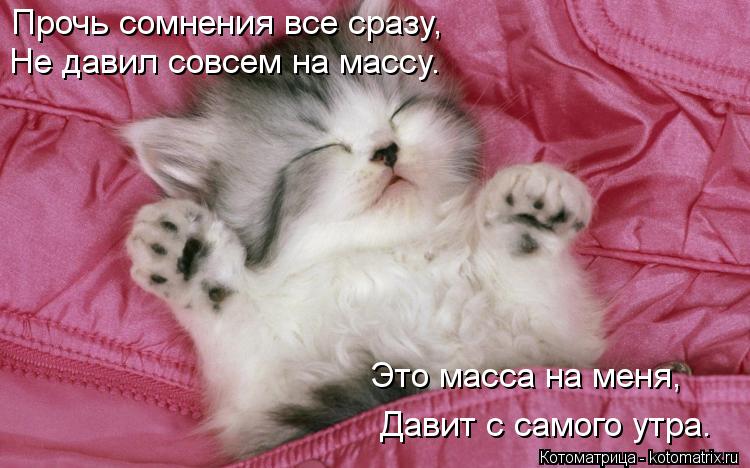 Прочь сомнения все сразу, Не давил совсем на массу. Это масса на меня, Давит с самого утра.... Котоматрица: Прочь сомнения все сразу, Не давил совсем на массу. Это масса на меня, Давит с самого утра.