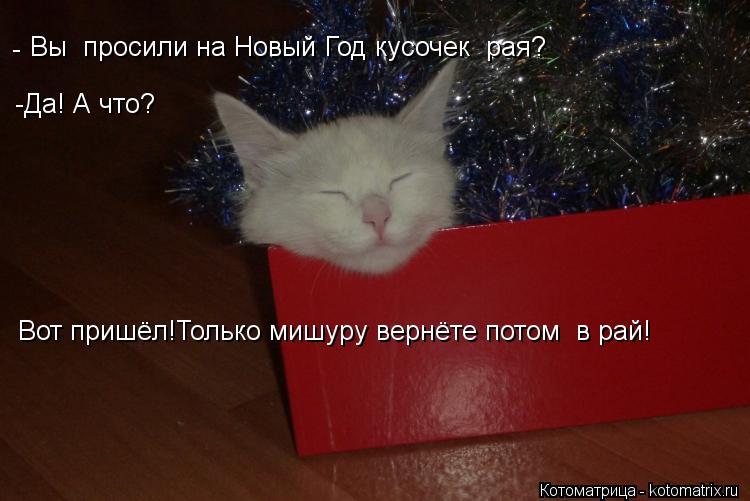 Вы просили на Новый Год кусочек рая? - -Да! А что? Вот пришёл!Только мишуру вернёте потом в рай!... Котоматрица: Вы просили на Новый Год кусочек рая? - -Да! А что? Вот пришёл!Только мишуру вернёте потом в рай!