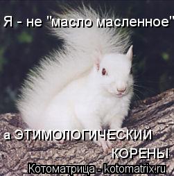 Я - не "масло масленное", а ЭТИМОЛОГИЧЕСКИЙ КОРЕНЬ!... Котоматрица: Я - не "масло масленное", а ЭТИМОЛОГИЧЕСКИЙ КОРЕНЬ!