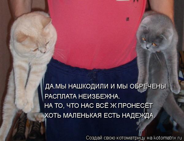 ДА.МЫ НАШКОДИЛИ И МЫ ОБРЕЧЕНЫ РАСПЛАТА НЕИЗБЕЖНА. НА ТО, ЧТО НАС ВСЁ Ж ПРОНЕСЁТ ХОТЬ МАЛЕНЬКАЯ ЕСТЬ Н... Котоматрица: ДА.МЫ НАШКОДИЛИ И МЫ ОБРЕЧЕНЫ РАСПЛАТА НЕИЗБЕЖНА. НА ТО, ЧТО НАС ВСЁ Ж ПРОНЕСЁТ ХОТЬ МАЛЕНЬКАЯ ЕСТЬ НАДЕЖДА.