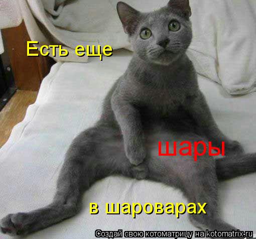 Есть еще шары в шароварах... Котоматрица: Есть еще шары в шароварах