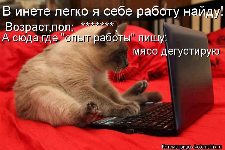 В инете легко я себе работу найду! Возраст,пол: *******, А сюда,где "опыт работы" пишу: мясо дегусти... Котоматрица: В инете легко я себе работу найду! Возраст,пол: *******, А сюда,где "опыт работы" пишу: мясо дегустирую