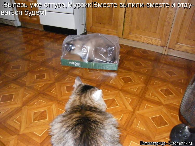 Котоматрица: -Вылазь уже оттуда,Мурзик!Вместе выпили-вместе и отду- ваться будем!