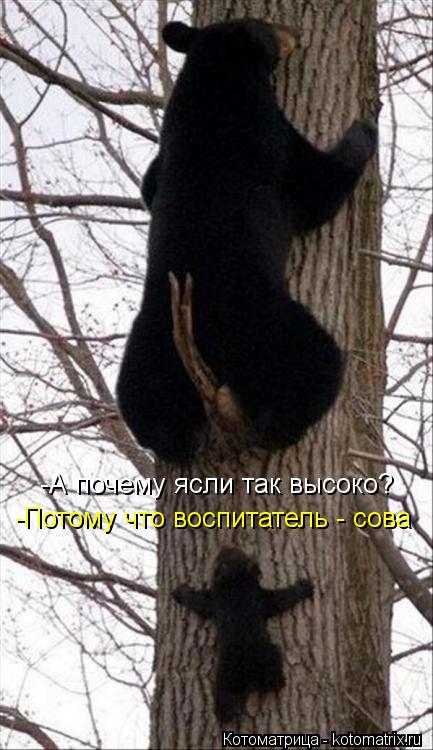-А почему ясли так высоко? -Потому что воспитатель - сова... Котоматрица: -А почему ясли так высоко? -Потому что воспитатель - сова