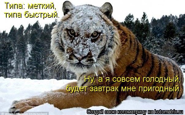 Типа: меткий, типа быстрый. Ну, а я совсем голодный, будет завтрак мне пригодный.... Котоматрица: Типа: меткий, типа быстрый. Ну, а я совсем голодный, будет завтрак мне пригодный.
