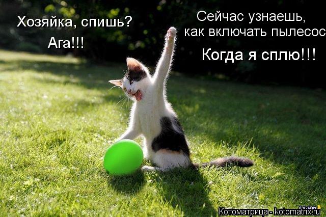Хозяйка, спишь? Ага!!! Сейчас узнаешь, как включать пылесос Когда я сплю!!!... Котоматрица: Хозяйка, спишь? Ага!!! Сейчас узнаешь, как включать пылесос Когда я сплю!!!