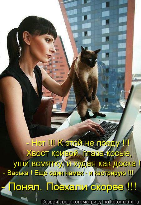 - Нет !!! К этой не поеду !!! Хвост кривой, глаза косые, уши всмятку, и худая как доска ! - Васька ! ... Котоматрица: - Нет !!! К этой не поеду !!! Хвост кривой, глаза косые, уши всмятку, и худая как доска ! - Васька ! Еще один намек - и кастрирую !!! - Понял. Поехали ск