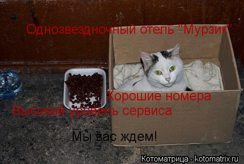 Однозвездночный отель "Мурзик" Хорошие номера Высокий уровень сервиса Мы вас ждем!... Котоматрица: Однозвездночный отель "Мурзик" Хорошие номера Высокий уровень сервиса Мы вас ждем!