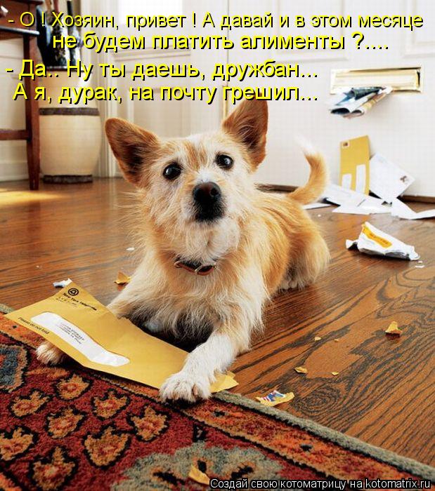 - О ! Хозяин, привет ! А давай и в этом месяце не будем платить алименты ?.... - Да.. Ну ты даешь, др... Котоматрица: - О ! Хозяин, привет ! А давай и в этом месяце не будем платить алименты ?.... - Да.. Ну ты даешь, дружбан... А я, дурак, на почту грешил...