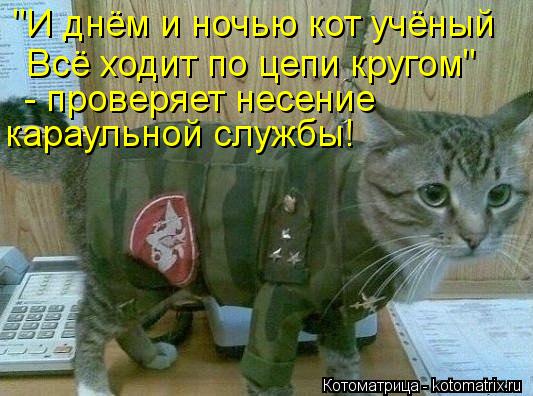 "И днём и ночью кот учёный Всё ходит по цепи кругом" - проверяет несение караульной службы!... Котоматрица: "И днём и ночью кот учёный Всё ходит по цепи кругом" - проверяет несение караульной службы!