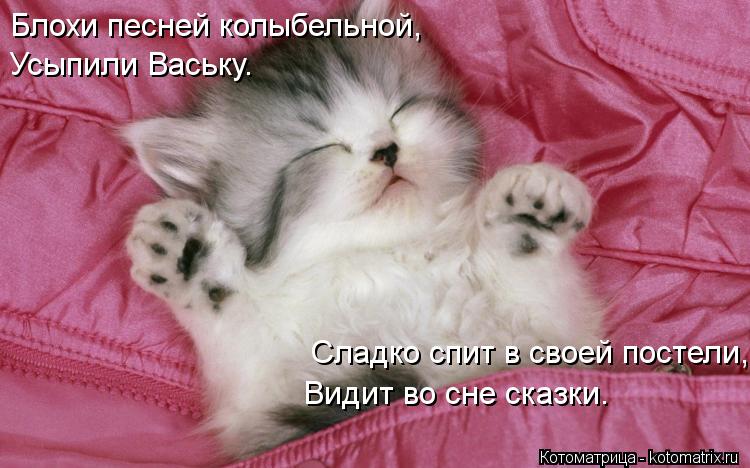 Блохи песней колыбельной, Усыпили Ваську. Сладко спит в своей постели, Видит во сне сказки.... Котоматрица: Блохи песней колыбельной, Усыпили Ваську. Сладко спит в своей постели, Видит во сне сказки.