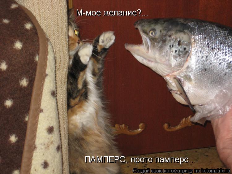 М-мое желание?... ПАМПЕРС, прото памперс...... Котоматрица: М-мое желание?... ПАМПЕРС, прото памперс...