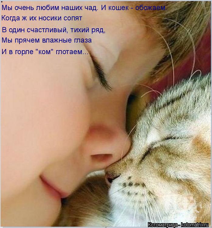 Мы прячем влажные глаза И в горле "ком" глотаем... Мы очень любим наших чад. И кошек - обожаем. Когда... Котоматрица: Мы прячем влажные глаза И в горле "ком" глотаем... Мы очень любим наших чад. И кошек - обожаем. Когда ж их носики сопят В один счастливый, тихий