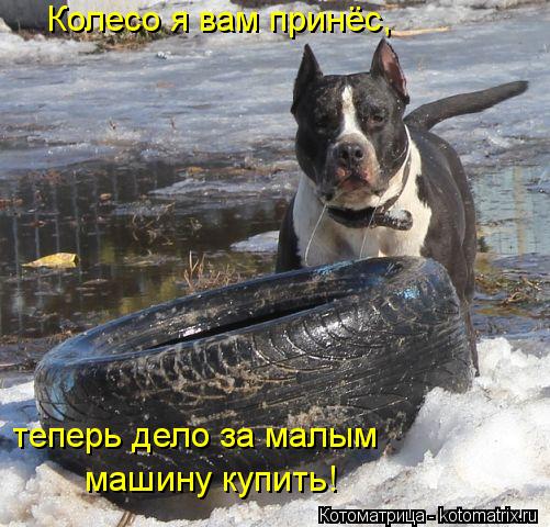 Колесо я вам принёс, теперь дело за малым машину купить!... Котоматрица: Колесо я вам принёс, теперь дело за малым машину купить!