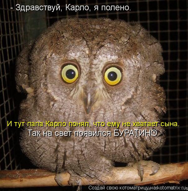 - Здравствуй, Карло, я полено. И тут папа Карло понял, что ему не хватает сына. Так на свет появился ... Котоматрица: - Здравствуй, Карло, я полено. И тут папа Карло понял, что ему не хватает сына. Так на свет появился БУРАТИНО