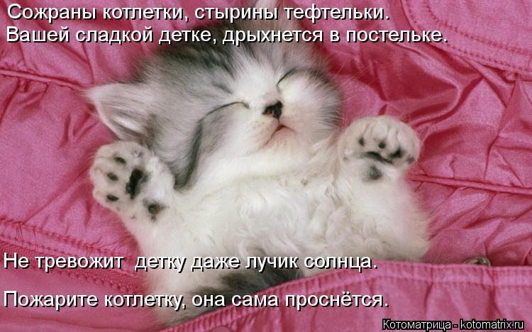 Сожраны котлетки, стырины тефтельки. Вашей сладкой детке, дрыхнется в постельке. Не тревожит детку д... Котоматрица: Сожраны котлетки, стырины тефтельки. Вашей сладкой детке, дрыхнется в постельке. Не тревожит детку даже лучик солнца. Пожарите котлетку, он