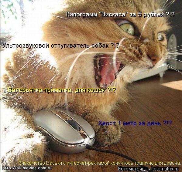 Килограмм "Вискаса" за 5 рублей ?!? Валерьянка-приманка, для кошек ?!? Ультрозвуковой отпугиватель со... Котоматрица: Килограмм "Вискаса" за 5 рублей ?!? Валерьянка-приманка, для кошек ?!? Ультрозвуковой отпугиватель собак ?!? Хвост 1 метр за день ?!? - Знакомство В