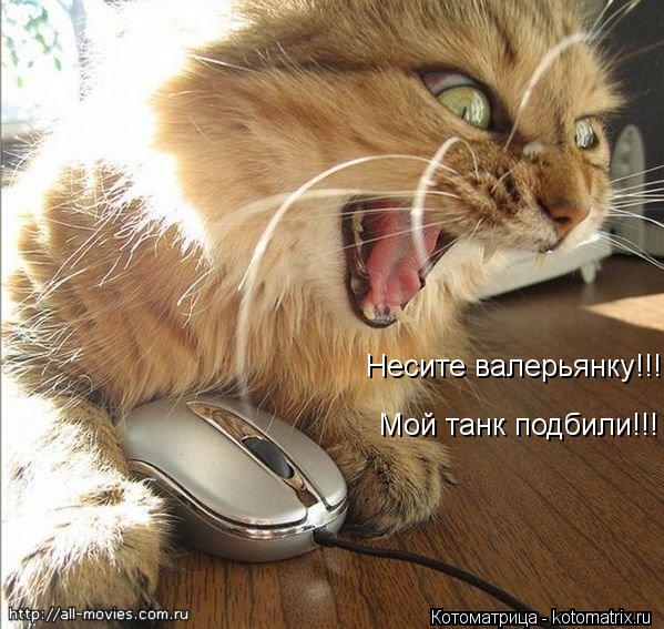 Котоматрица: Несите валерьянку!!! Мой танк подбили!!!