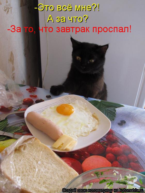 -Это всё мне?! А за что? -За то, что завтрак проспал!... Котоматрица: -Это всё мне?! А за что? -За то, что завтрак проспал!