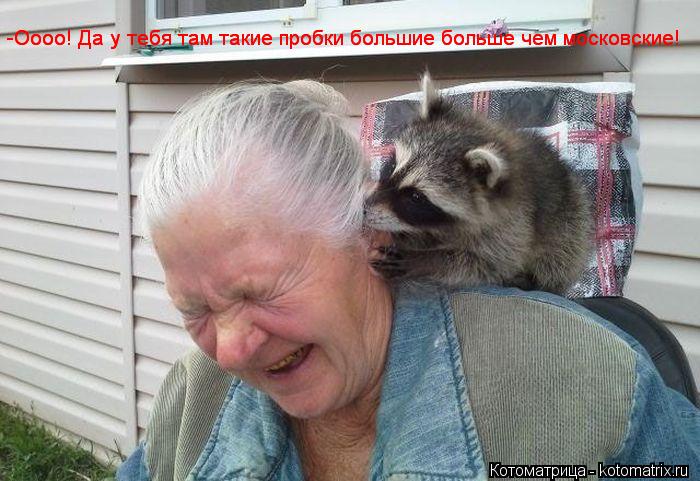 -Оооо! Да у тебя там такие пробки большие больше чем московские! -Оооо! Да у тебя там такие пробки бо... Котоматрица: -Оооо! Да у тебя там такие пробки большие больше чем московские! -Оооо! Да у тебя там такие пробки большие больше чем московские!