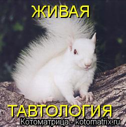 ТАВТОЛОГИЯ ЖИВАЯ... Котоматрица: ТАВТОЛОГИЯ ЖИВАЯ