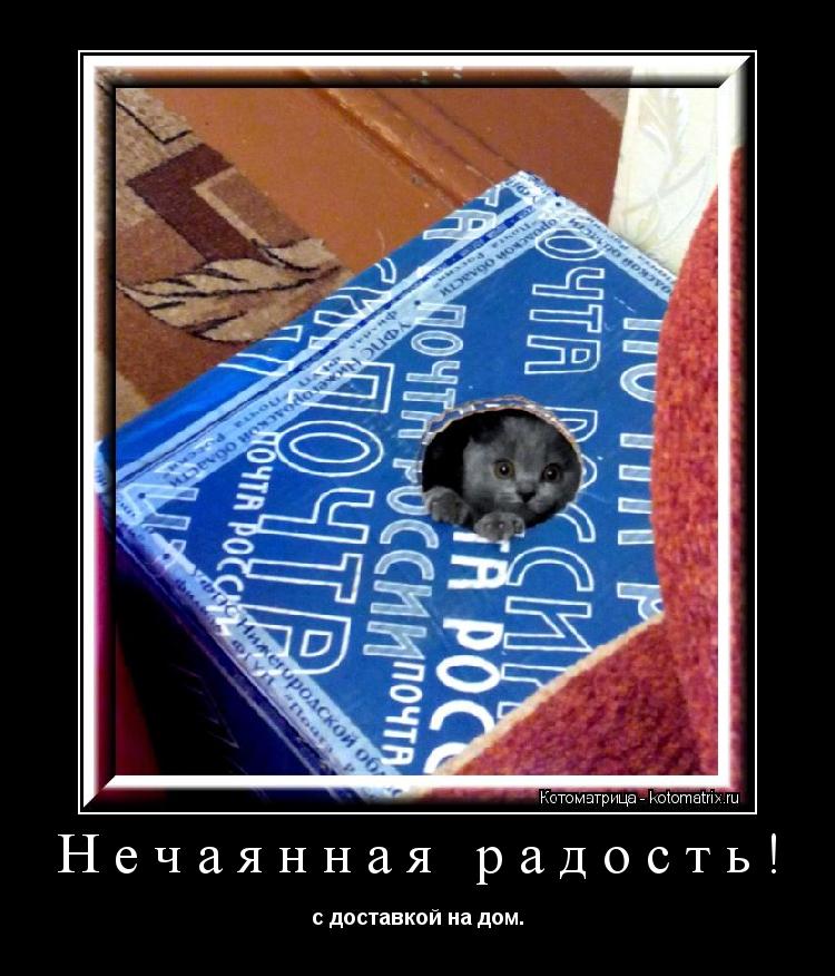 Нечаянная радость! с доставкой на дом.... Котоматрица: Нечаянная радость! с доставкой на дом.